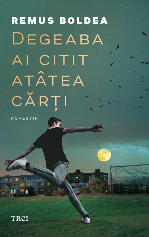 Degeaba ai citit atâtea cărți - Remus Boldea