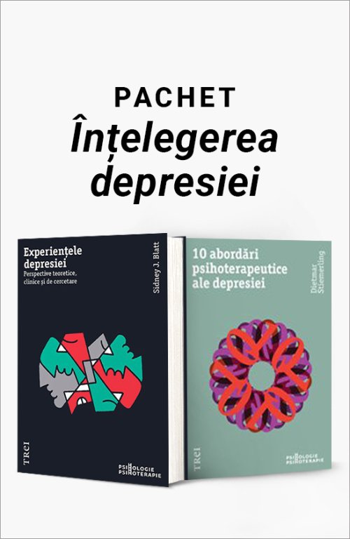 Pachet Înțelegerea depresiei - Sidney J. Blatt, Dietmar Stiemerling